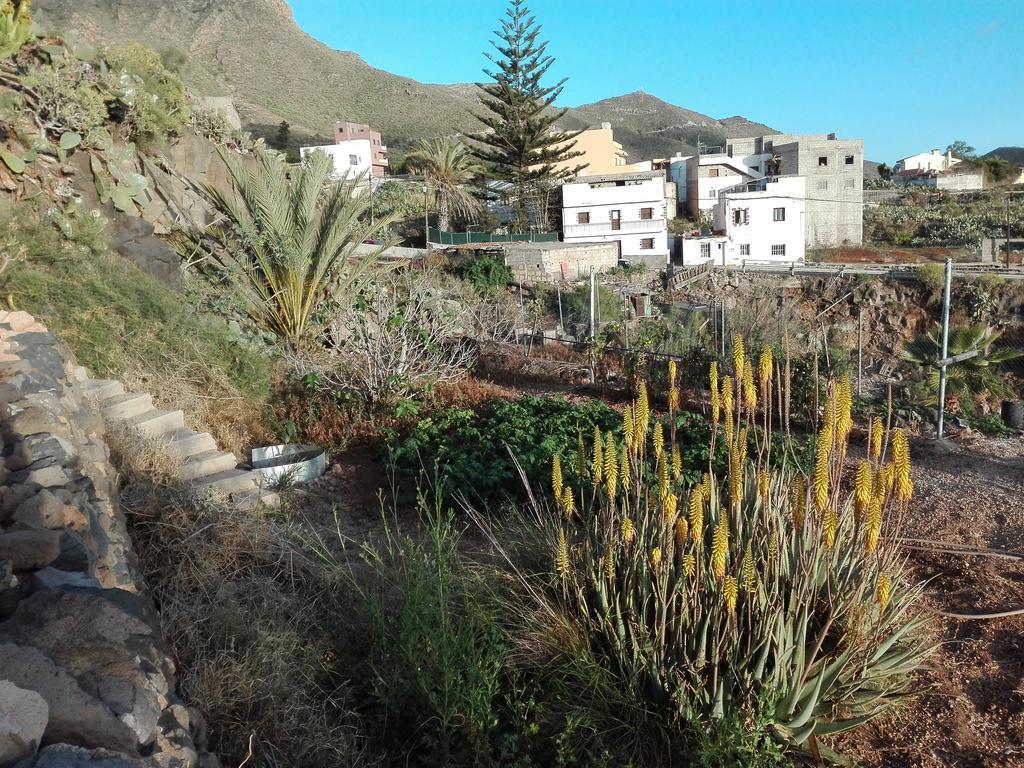 Finca Patio Canario อาโรนา ภายนอก รูปภาพ
