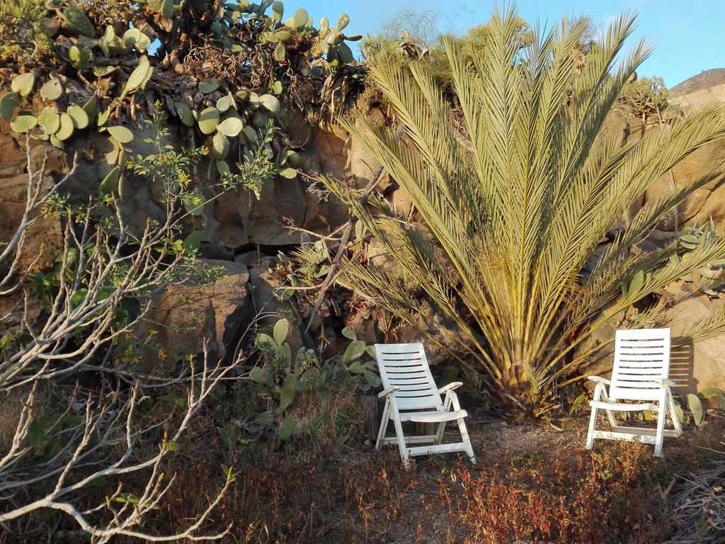 Finca Patio Canario อาโรนา ภายนอก รูปภาพ